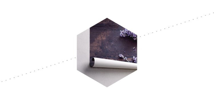 Fototapeta Lawenda Kwiaty Do Kuchni