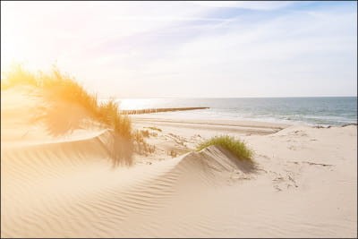 Fototapeta Plaża Morze Wydmy
