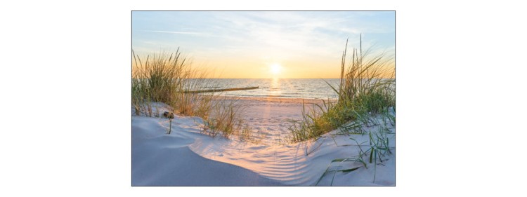 Fototapeta Plaża Morze Wydmy