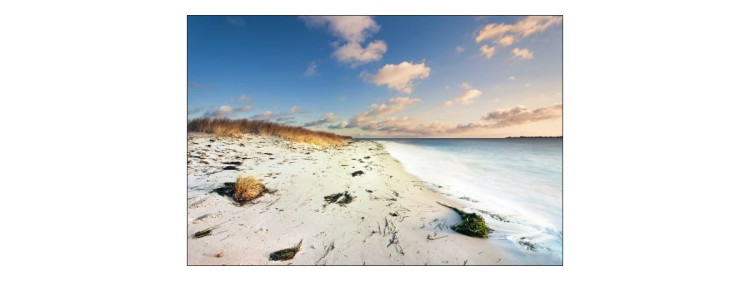 Fototapeta Plaża Morze Wydmy