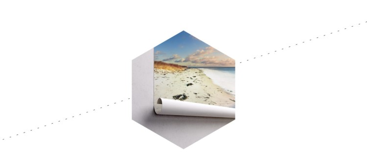 Fototapeta Plaża Morze Wydmy