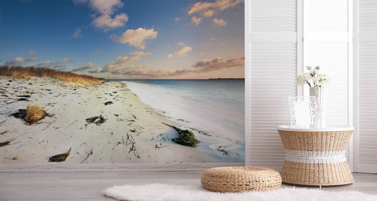 Fototapeta Plaża Morze Wydmy