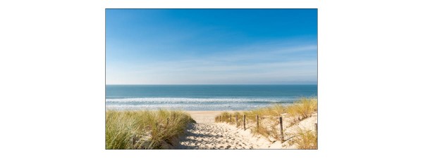 Fototapeta Plaża Morze Wydmy