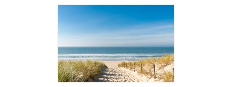 Fototapeta Plaża Morze Wydmy