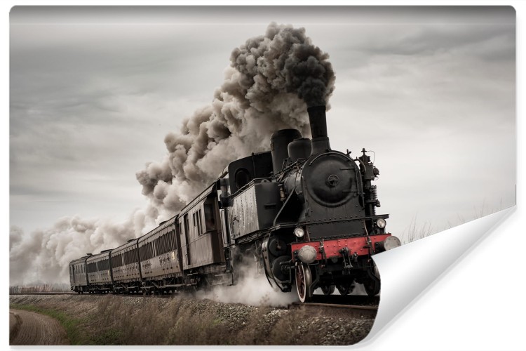 Fototapeta Zabytkowa Lokomotywa W Ruchu