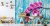 Fototapeta Orchidee Na Tle Desek