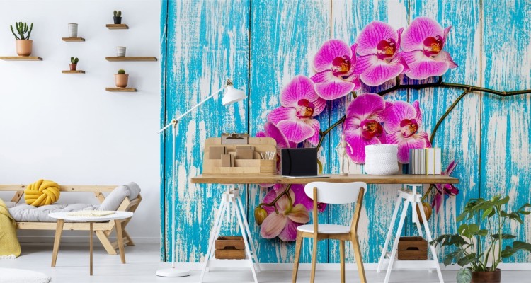 Fototapeta Orchidee Na Tle Desek