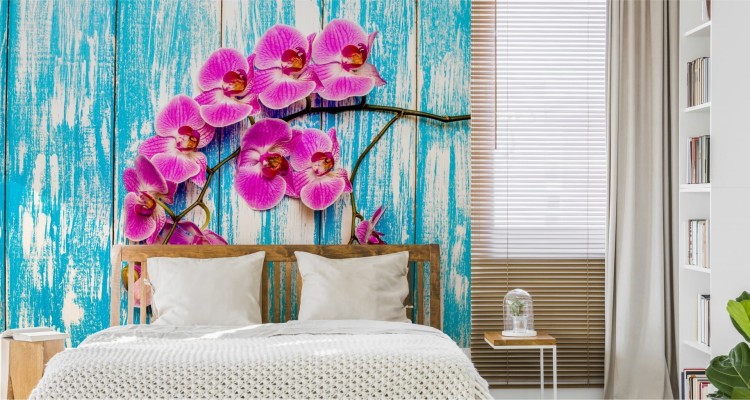 Fototapeta Orchidee Na Tle Desek