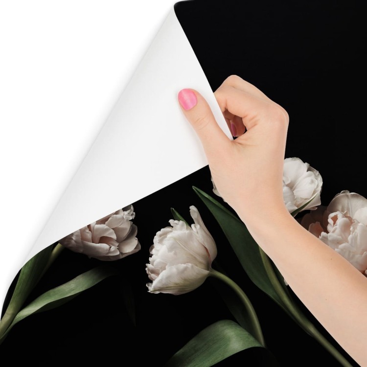 Fototapeta Peonie I Zielone Liście