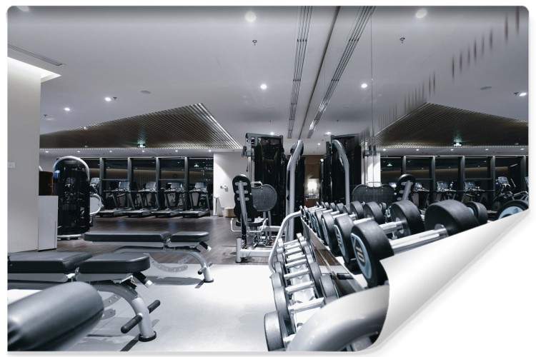 Fototapeta Wyposażenie Nowoczesnej Siłowni