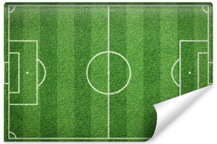 Fototapeta Stadion Z Lotu Ptaka