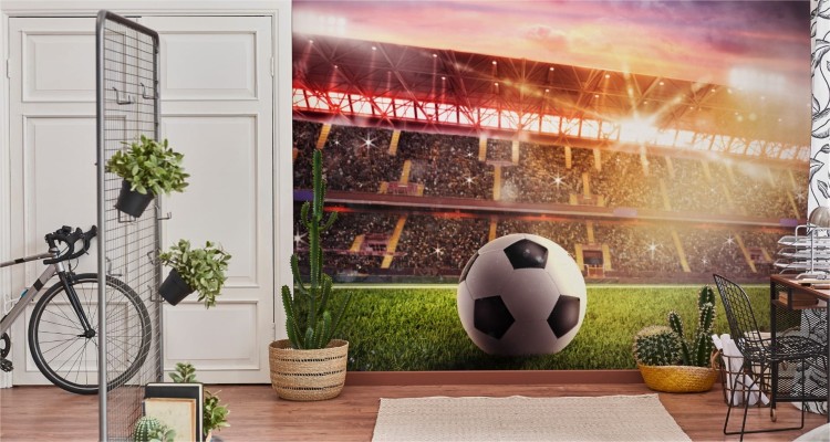 Fototapeta Piłka Nożna Na Stadionie