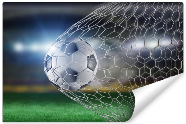 Fototapeta Piłka Nożna Gol 3D