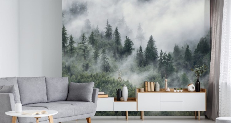 Fototapeta Las W Porannej Mgle