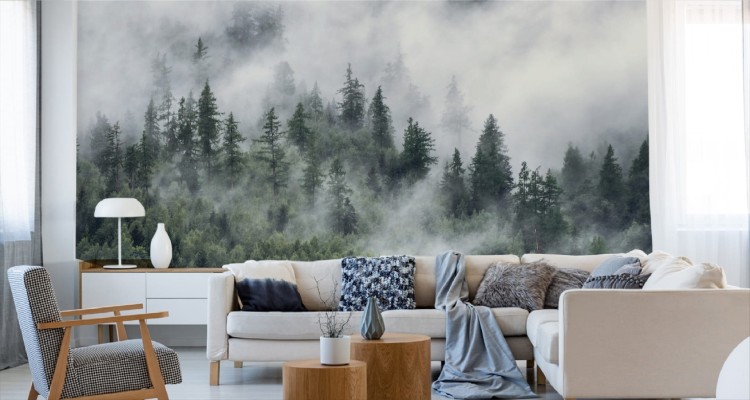 Fototapeta Las W Porannej Mgle