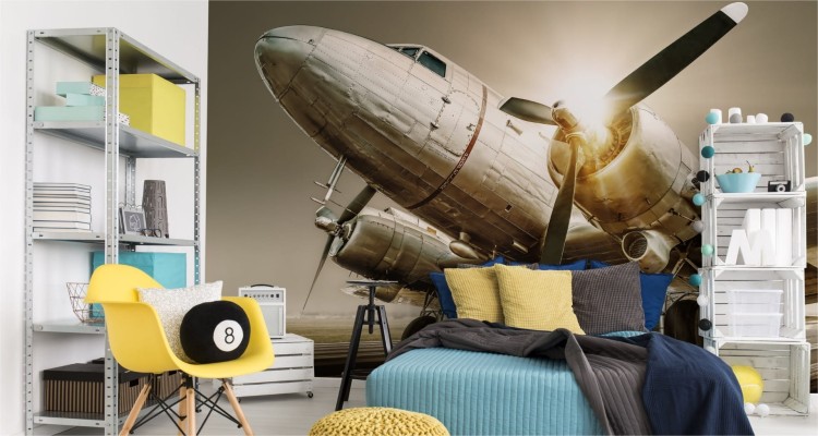 Fototapeta Zabytkowy Samolot O Zachodzie Słońca