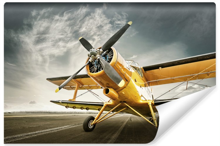 Fototapeta Zabytkowy Samolot