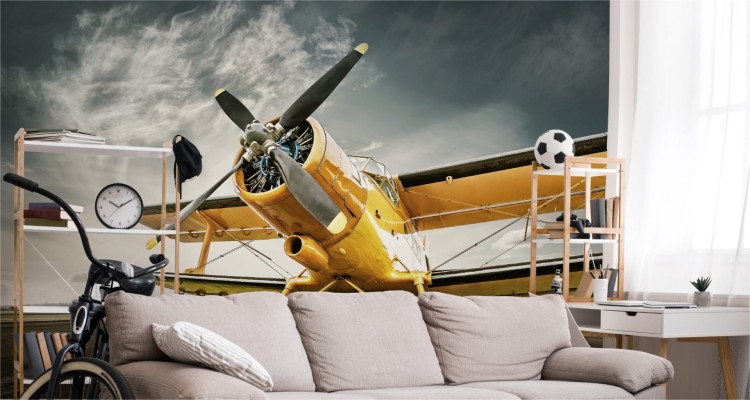 Fototapeta Zabytkowy Samolot