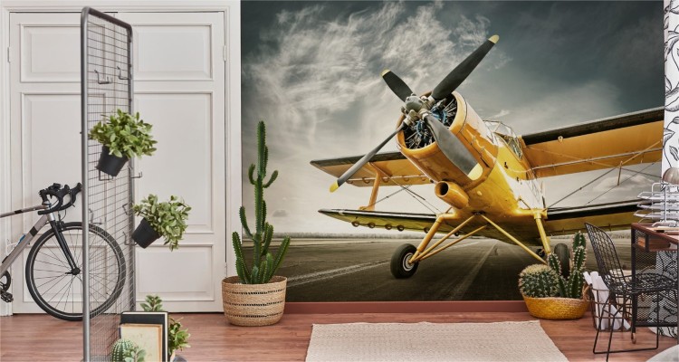 Fototapeta Zabytkowy Samolot