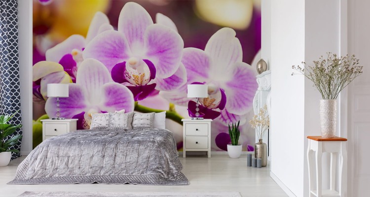 Fototapeta Tropikalna Orchidea
