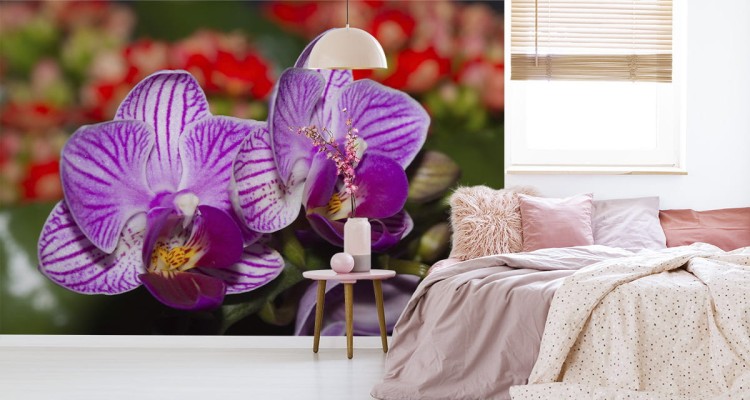 Fototapeta Optyczna Orchidea 3D