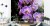 Fototapeta Piękne Orchidee