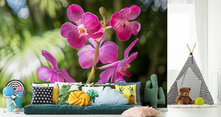 Fototapeta Piękne Orchidee