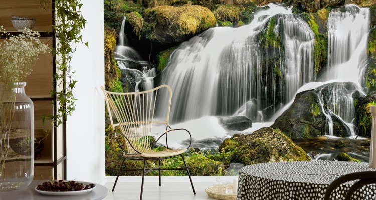 Fototapeta Wodospad W Lesie