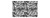 Fototapeta Liście Palmowe