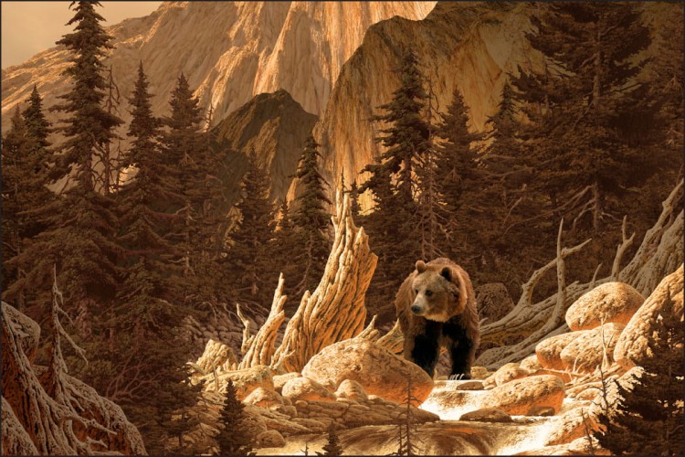 Fototapeta Niedźwiedź W Górach