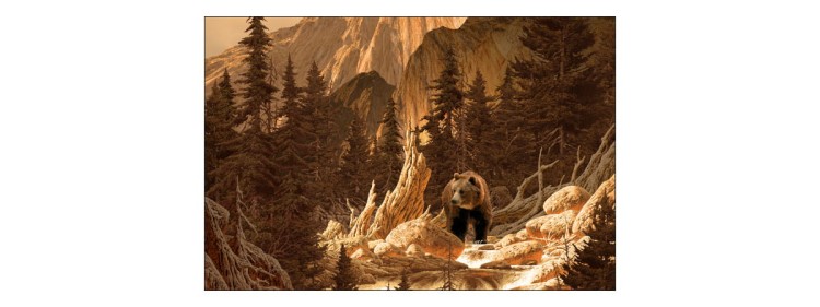 Fototapeta Niedźwiedź W Górach