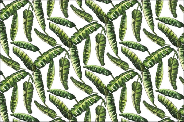 Fototapeta Liście Natura