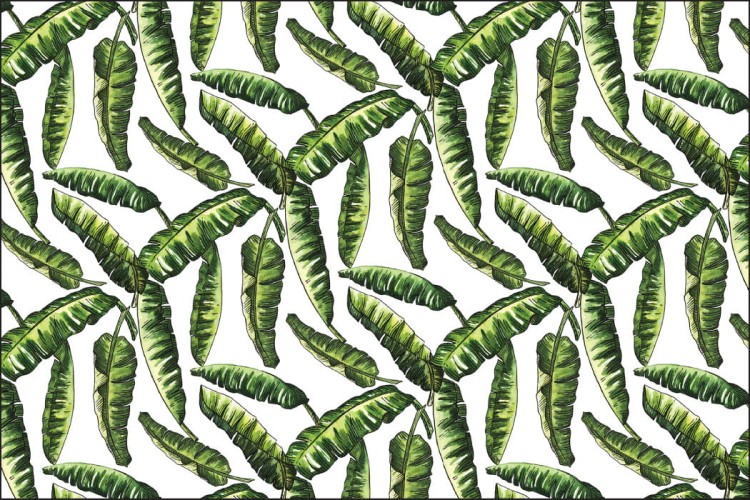 Fototapeta Liście Natura
