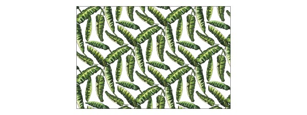 Fototapeta Liście Natura