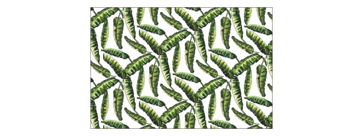 Fototapeta Liście Natura