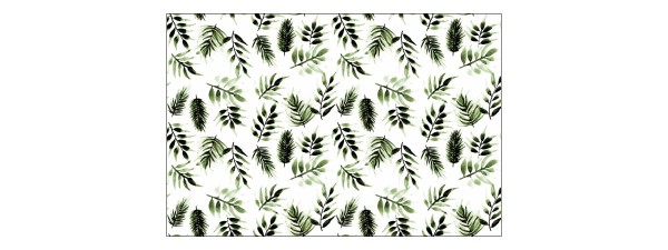 Fototapeta Liście Natura