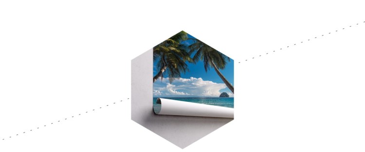 Fototapeta Plaża Ocean Palmy