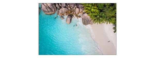 Fototapeta Plaża Ocean Palmy