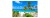 Fototapeta Plaża Ocean Palmy