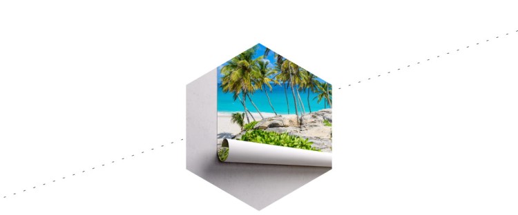 Fototapeta Plaża Ocean Palmy