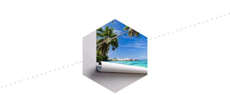 Fototapeta Plaża Ocean Palmy