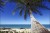 Fototapeta Plaża Ocean Palmy