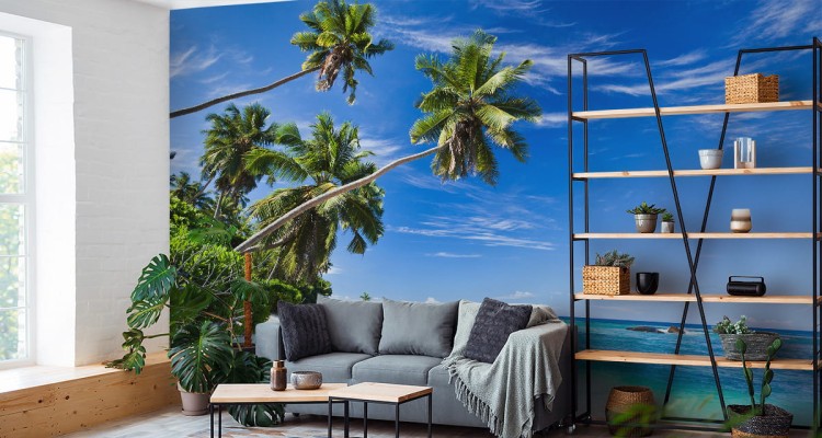 Fototapeta Plaża Ocean Palmy