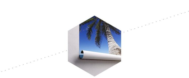 Fototapeta Plaża Ocean Palmy