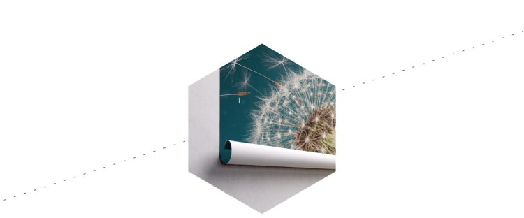 Fototapeta Optyczna Dmuchawiec