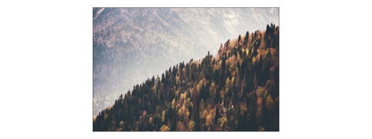 Fototapeta Las Góry