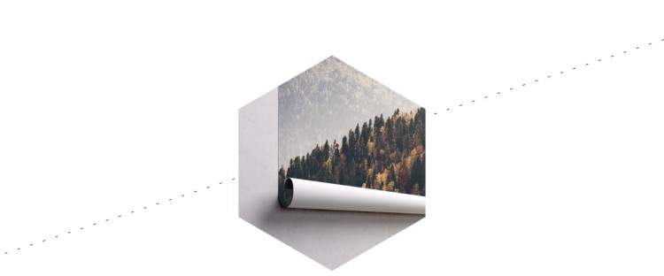 Fototapeta Las Góry