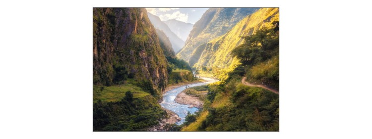 Fototapeta Las Góry