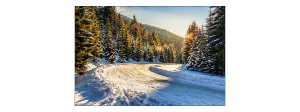 Fototapeta Zimowy Las