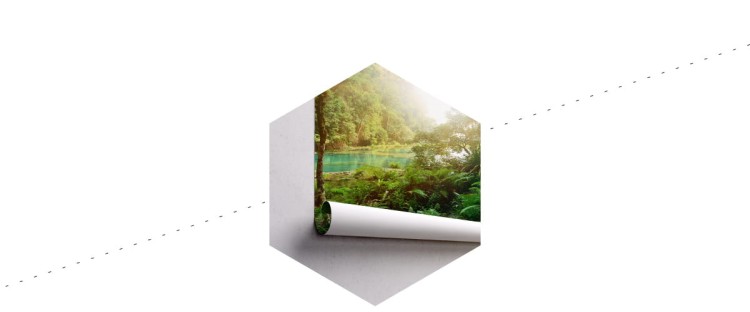 Fototapeta Las Drzewa Woda
